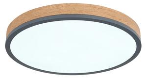 Globo 416080WD2R-CCT-LED stmievateľné stropné svietidlo DORO 24W/230V 3000-6500K pr. 45 cm