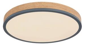 Globo 416080WD2R-CCT-LED stmievateľné stropné svietidlo DORO 24W/230V 3000-6500K pr. 45 cm
