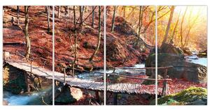 Obraz mosta - jesenné cesta lesom (Obraz 160x80cm)