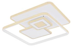 Globo 48441-50SH - LED stmievateľné stropné svietidlo RODERICK 50W/230V 50,3x50,3 cm+DO