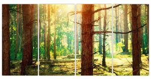 Moderný obraz - les (Obraz 160x80cm)