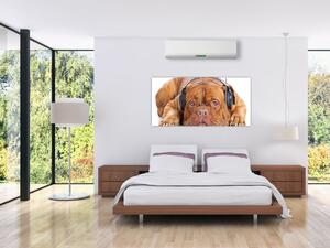Moderný obraz - pes so slúchadlami (Obraz 160x80cm)