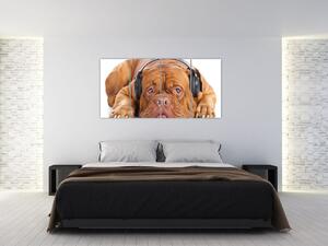 Moderný obraz - pes so slúchadlami (Obraz 160x80cm)