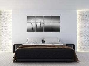 Čiernobiely obraz hladiny (Obraz 160x80cm)