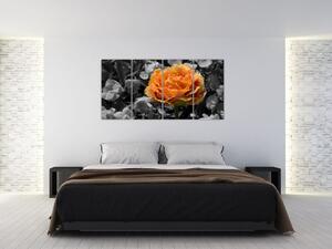 Oranžový kvet na čiernobielom pozadí - obraz (Obraz 160x80cm)