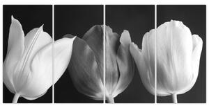 Čiernobiely obraz - tri tulipány (Obraz 160x80cm)