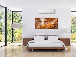 Cesta lesom - moderné obrazy na stenu (Obraz 160x80cm)