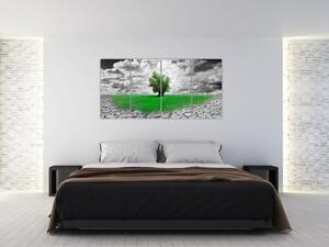 Zelený ostrov vo vyprahnutej krajine - obrazy do obývačky (Obraz 160x80cm)