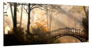 Sklo do kuchyne most v jesennom parku - 30 x 60 cm