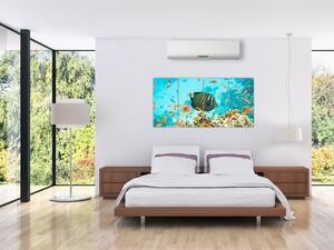 Obraz rýb v akváriami (Obraz 160x80cm)