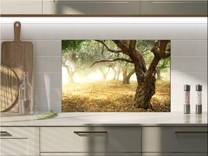 Sklo do kuchyne strom olivovník - 30 x 60 cm
