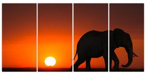 Obraz slona v zapadajúcom slnku (Obraz 160x80cm)