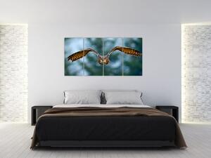 Obraz letiaci sovy (Obraz 160x80cm)