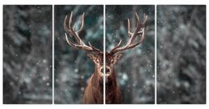 Obraz - jeleň v zime (Obraz 160x80cm)