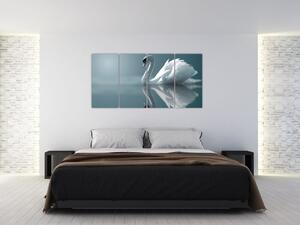Obraz: labuť (Obraz 160x80cm)