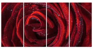 Obraz červené ruže (Obraz 160x80cm)
