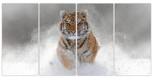Obraz bežiaceho tigra (Obraz 160x80cm)