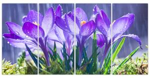 Obraz kvetov pri daždi (Obraz 160x80cm)