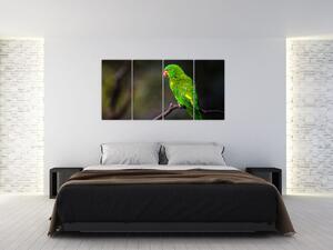 Obraz zeleného papagája (Obraz 160x80cm)