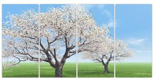 Obraz kvitnúceho stromu na jarné lúke (Obraz 160x80cm)
