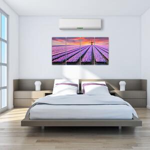 Obraz levanduľové polia (Obraz 160x80cm)