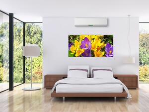 Obraz kvety (Obraz 160x80cm)