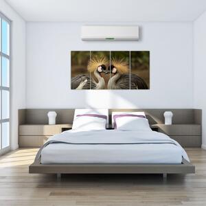 Obraz na stenu - zvieratá (Obraz 160x80cm)