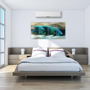 Obraz na stenu - ryby (Obraz 160x80cm)