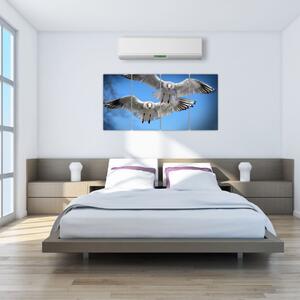 Obraz do bytu - vtáky (Obraz 160x80cm)