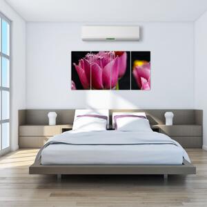 Tulipány - obrazy (Obraz 160x80cm)