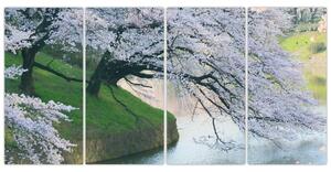 Obraz kvitnúcich stromov (Obraz 160x80cm)