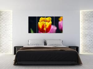 Obraz tulipánu (Obraz 160x80cm)