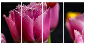 Tulipány - obrazy (Obraz 160x80cm)