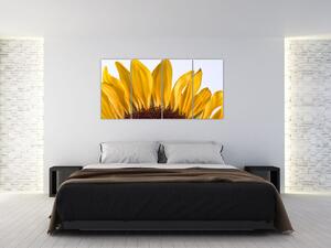 Obraz kvetu slnečnice (Obraz 160x80cm)