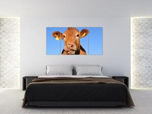 Obraz kravy (Obraz 160x80cm)
