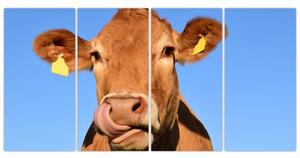 Obraz kravy (Obraz 160x80cm)