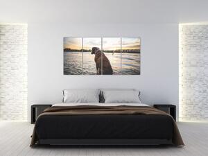 Obraz - sediaci pes (Obraz 160x80cm)