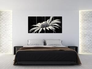 Čiernobiely obraz kvetu (Obraz 160x80cm)