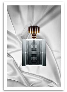 Obraz na plátne Francúzsky parfém - Rubiant Rozmery: 40 x 60 cm