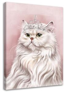 Obraz na plátne Biela kráľovská mačka Rozmery: 40 x 60 cm