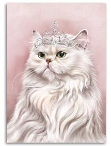 Obraz na plátne Biela kráľovská mačka Rozmery: 40 x 60 cm