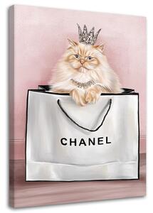 Obraz na plátne Mačka v taške Chanel Rozmery: 40 x 60 cm