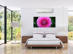 Obraz ružového kvetu (Obraz 160x80cm)