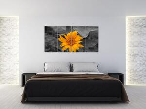 Obraz oranžového kvetu (Obraz 160x80cm)