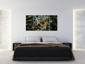 Obraz motýľa (Obraz 160x80cm)
