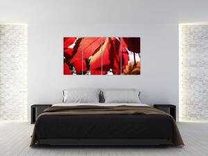 Obraz červených listov (Obraz 160x80cm)