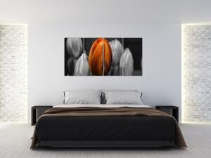 Oranžový tulipán medzi čiernobielymi - obraz (Obraz 160x80cm)