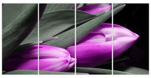 Obraz fialových tulipánov (Obraz 160x80cm)