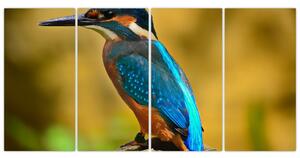 Obraz - farebný vták (Obraz 160x80cm)