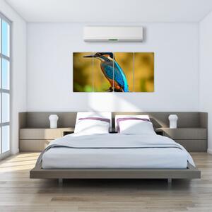 Obraz - farebný vták (Obraz 160x80cm)